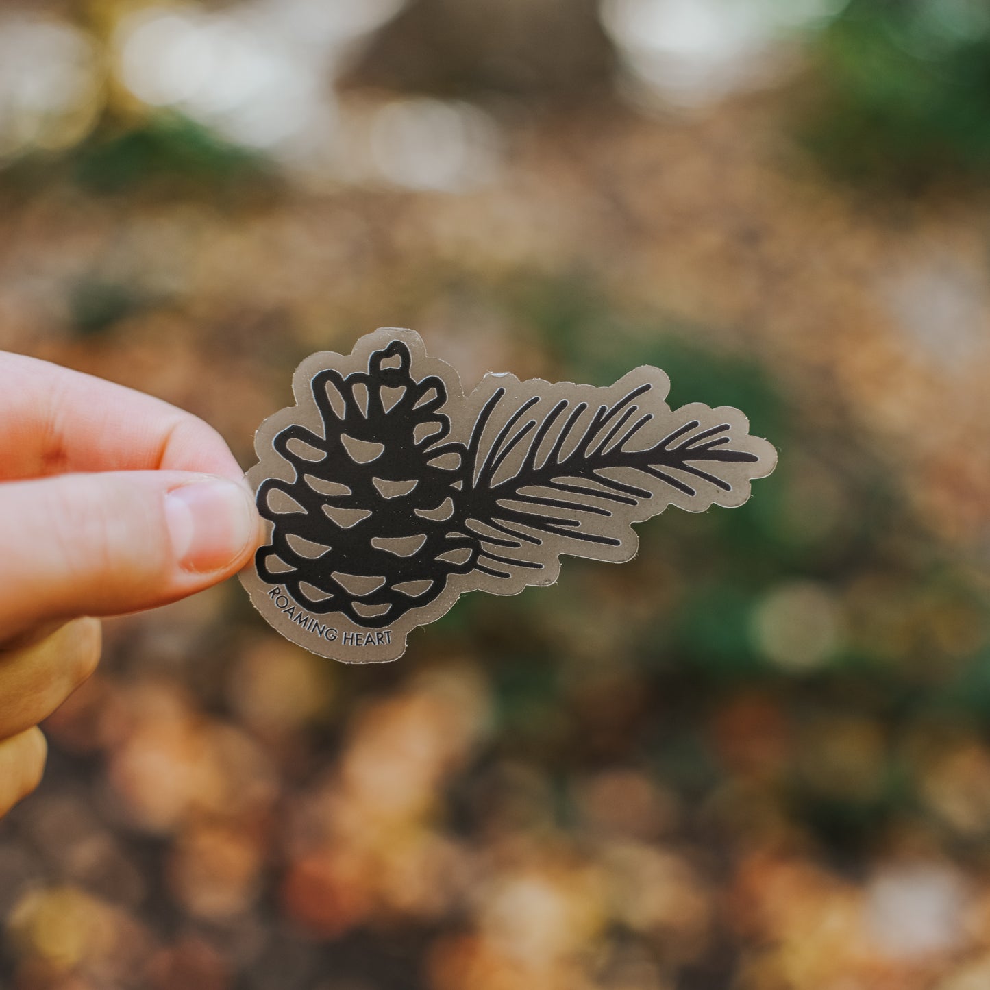 Pinecone | Clear Sticker