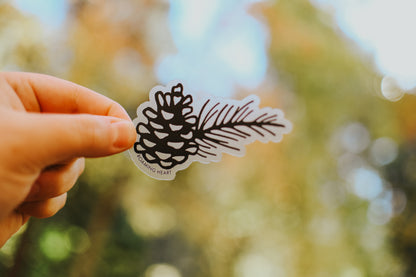 Pinecone | Clear Sticker