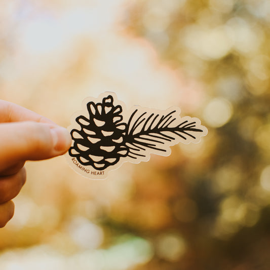 Pinecone | Clear Sticker