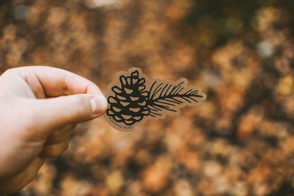 Pinecone | Clear Sticker