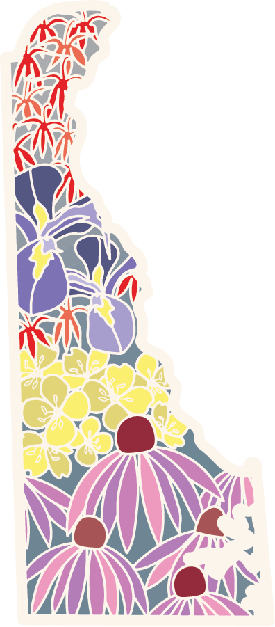 Delaware Wildflower | Sticker