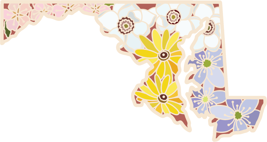 Maryland Wildflower | Clear Sticker