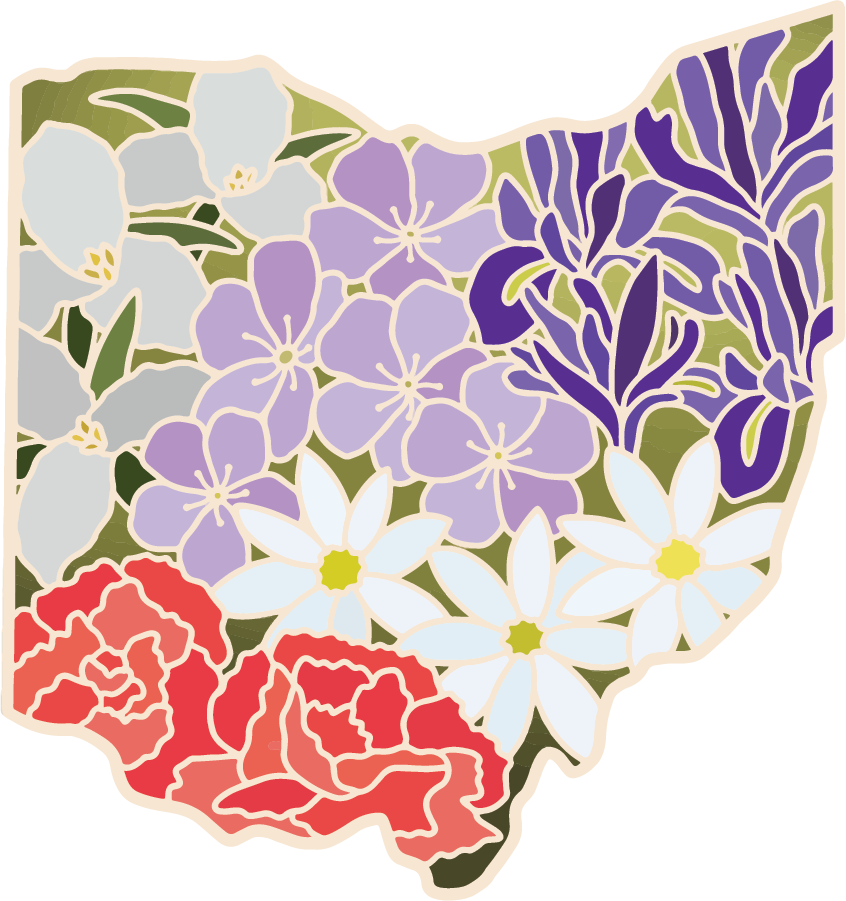 Ohio Wildflower | Sticker