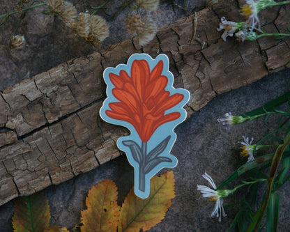 Scarlet Paintbrush | Sticker