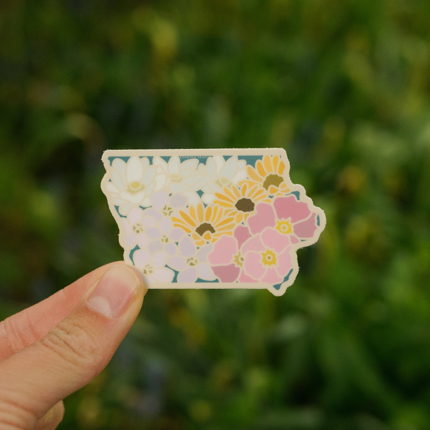 Iowa Wildflower | Sticker