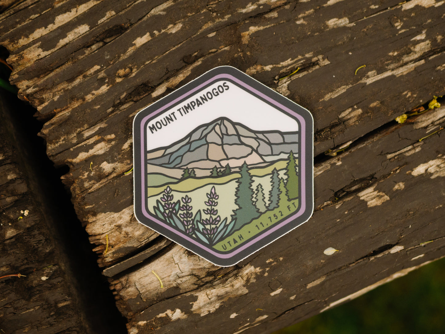 Mount Timpanogos | Sticker