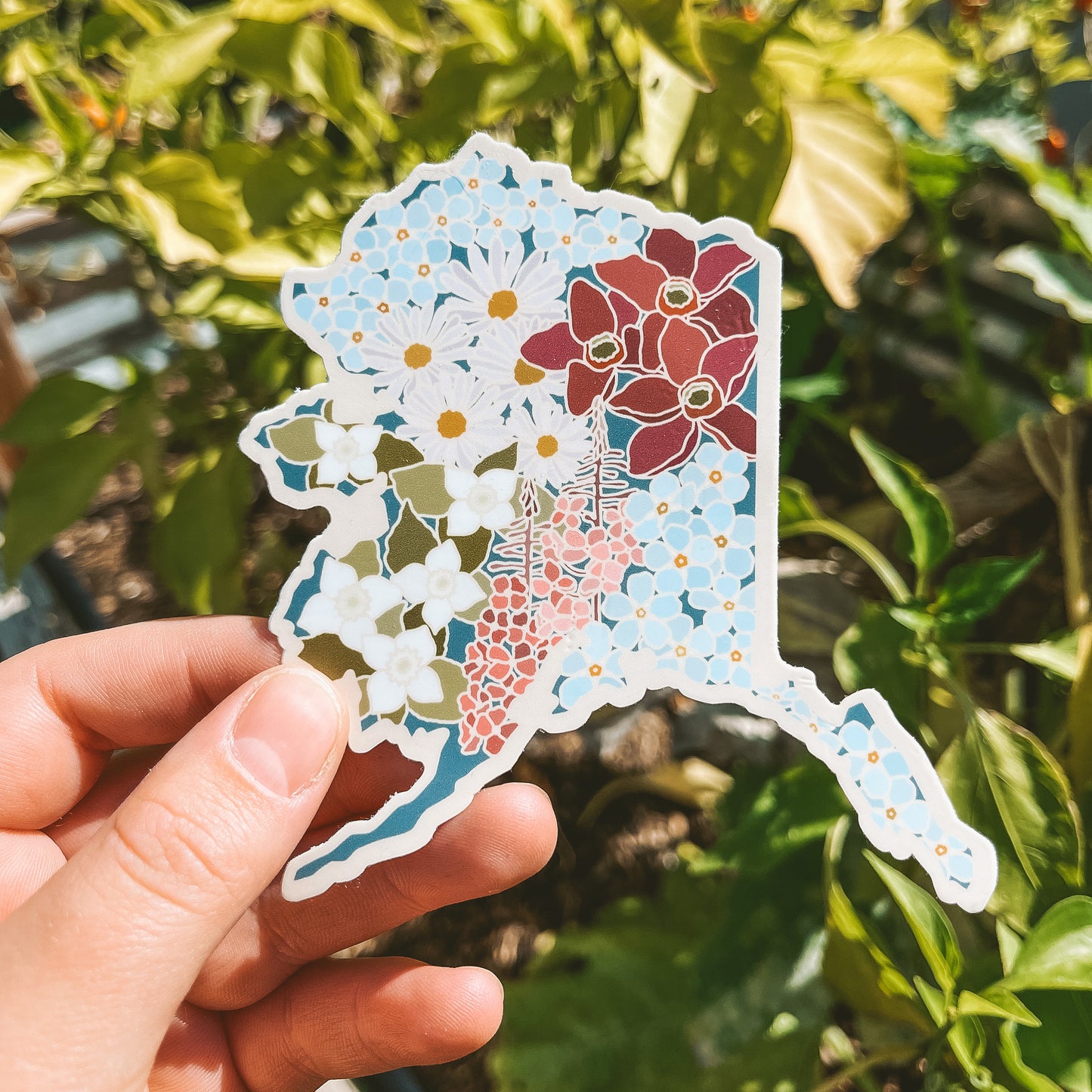 Alaska Wildflower | Sticker