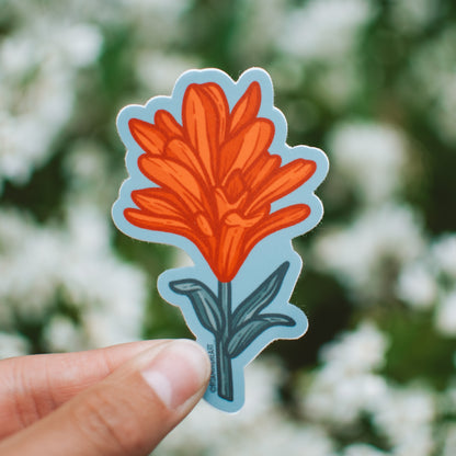 Scarlet Paintbrush | Sticker