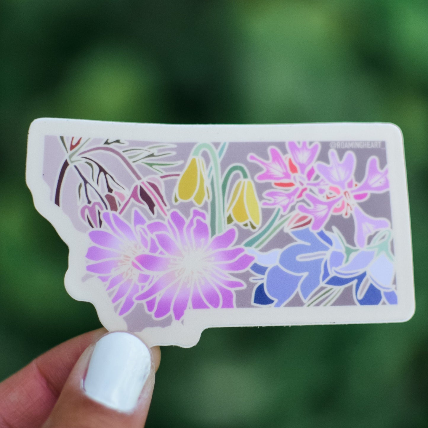 Montana Wildflower | Sticker