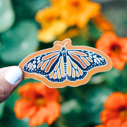 Monarch Butterfly | Sticker